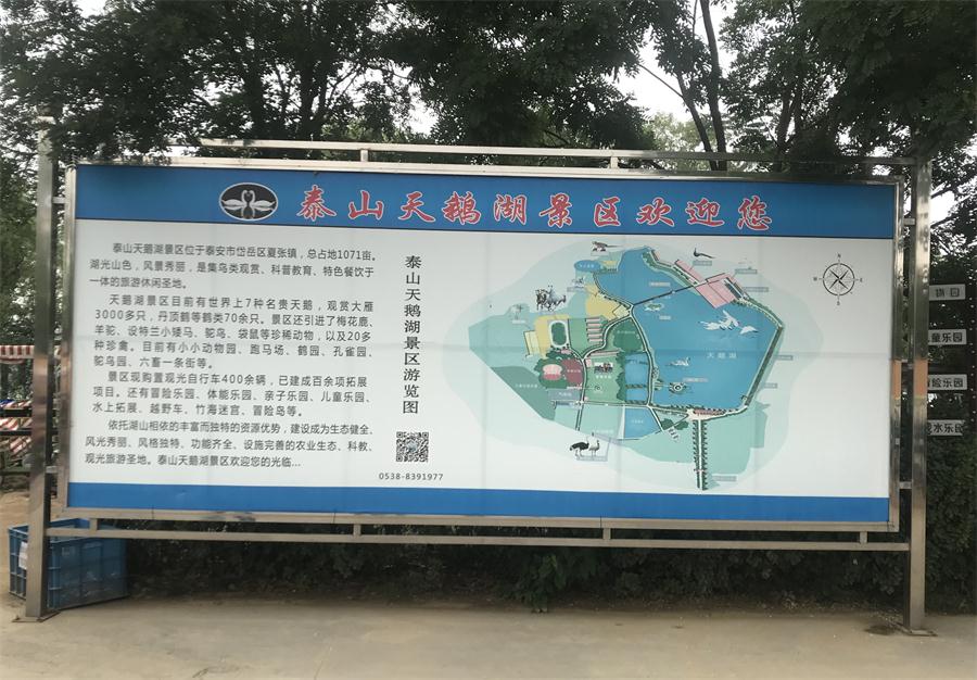 天鵝湖風(fēng)景區(qū)（泰山）速覽！(圖2)