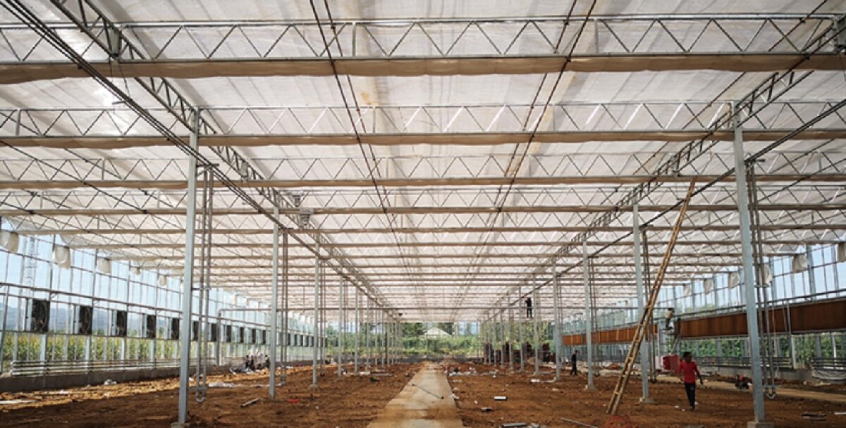 信橋鋼構(gòu)：打卡蒙陰農(nóng)業(yè)溫室大棚、青州黑牛養(yǎng)殖基地！(圖3)