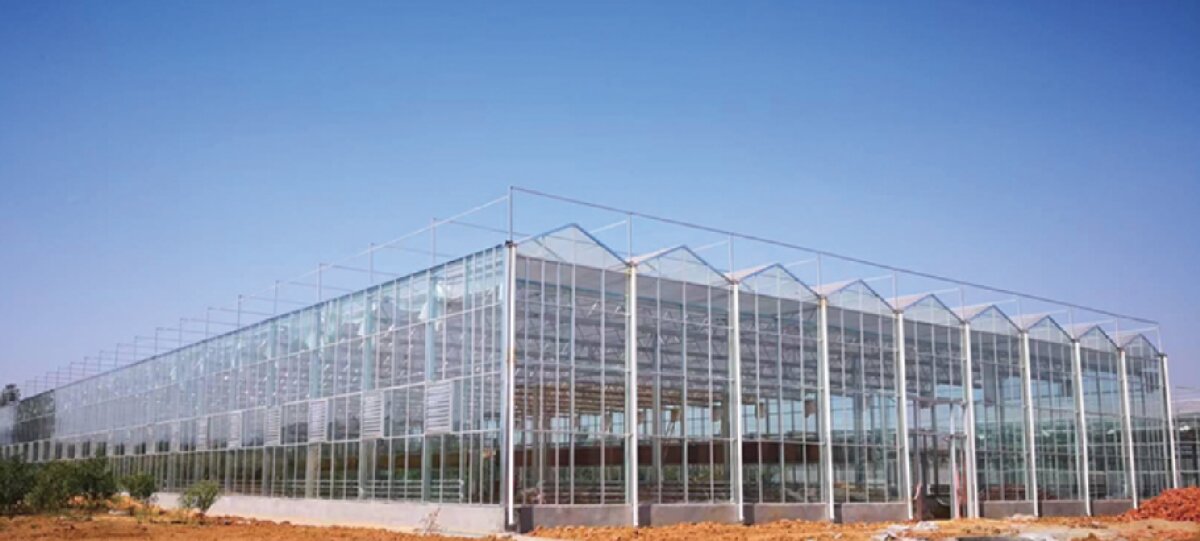 信橋鋼構(gòu)：打卡蒙陰農(nóng)業(yè)溫室大棚、青州黑牛養(yǎng)殖基地！(圖2)